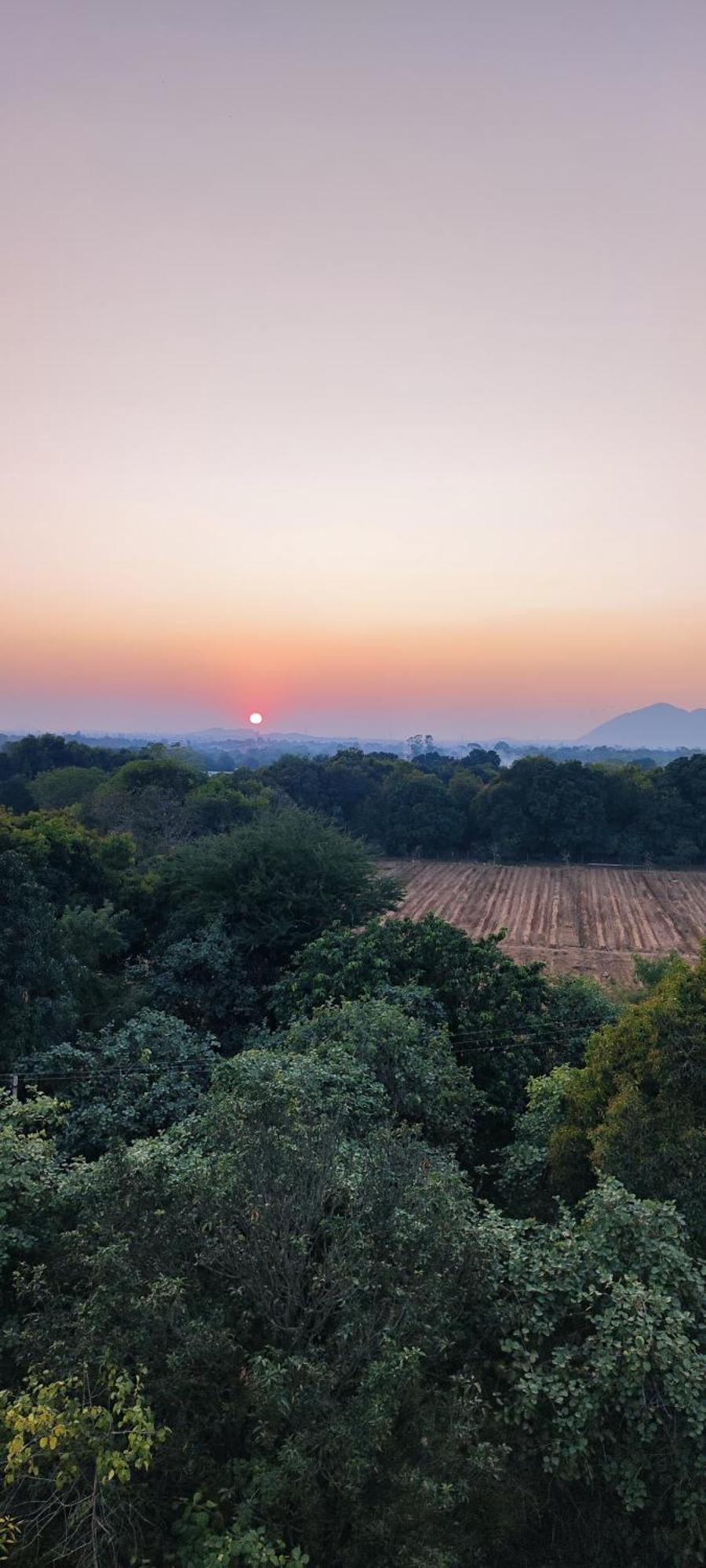 The Secret Garden Bed & Breakfast Pushkar Dış mekan fotoğraf
