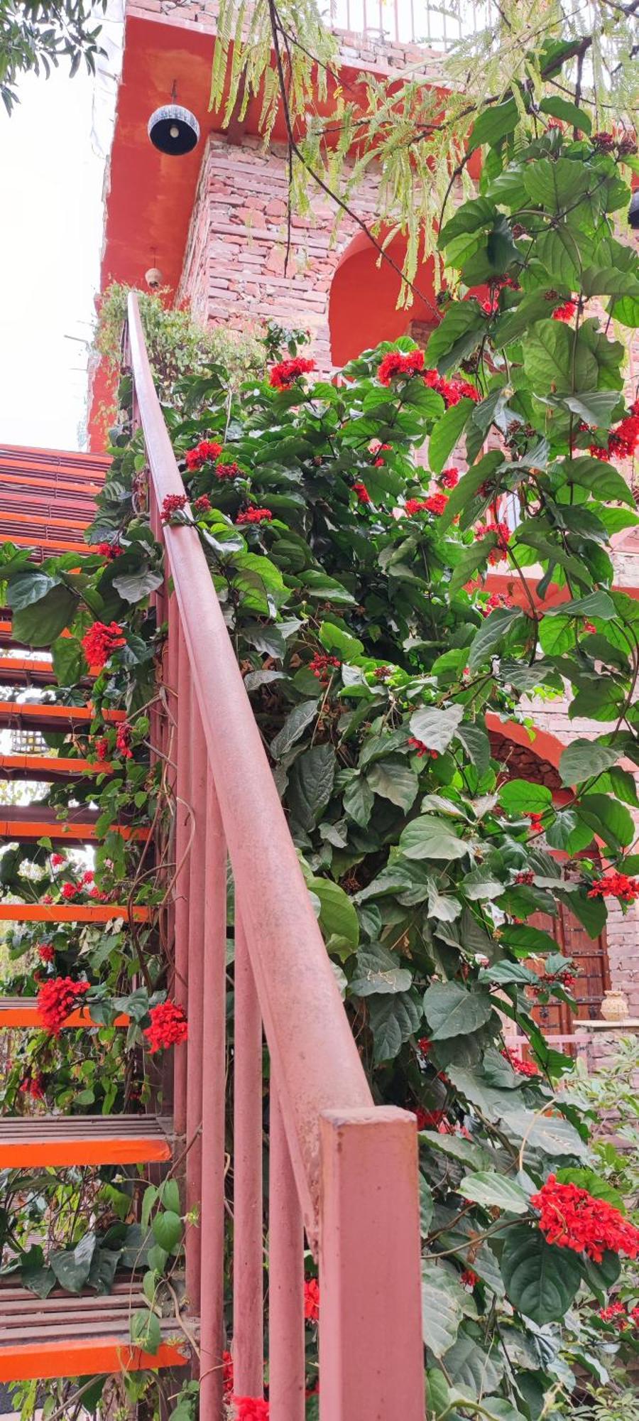 The Secret Garden Bed & Breakfast Pushkar Dış mekan fotoğraf
