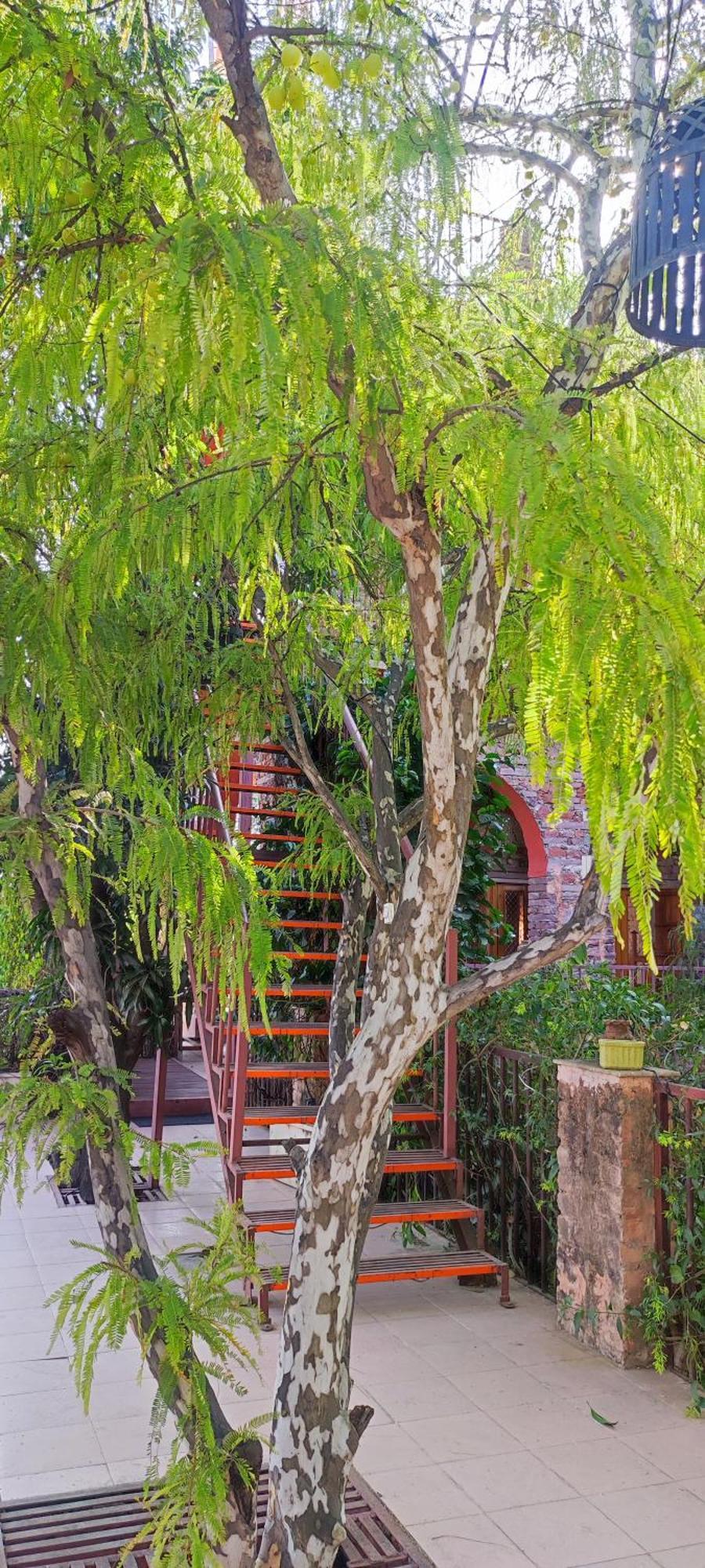 The Secret Garden Bed & Breakfast Pushkar Dış mekan fotoğraf