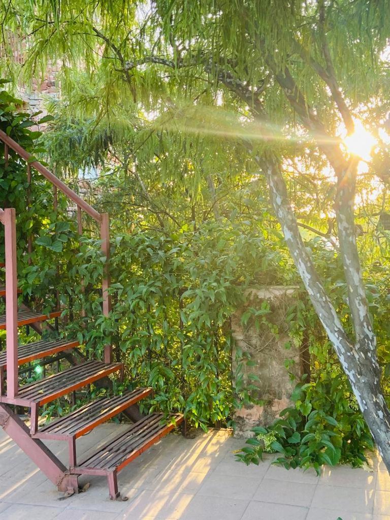 The Secret Garden Bed & Breakfast Pushkar Dış mekan fotoğraf