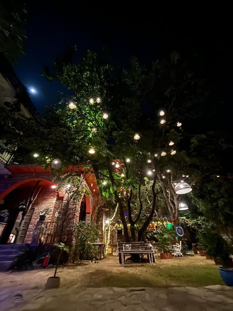 The Secret Garden Bed & Breakfast Pushkar Dış mekan fotoğraf