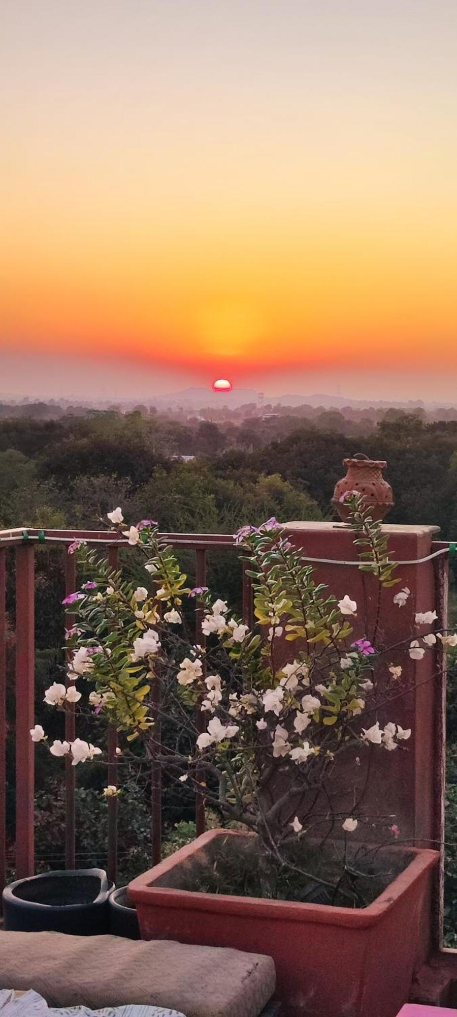 The Secret Garden Bed & Breakfast Pushkar Dış mekan fotoğraf